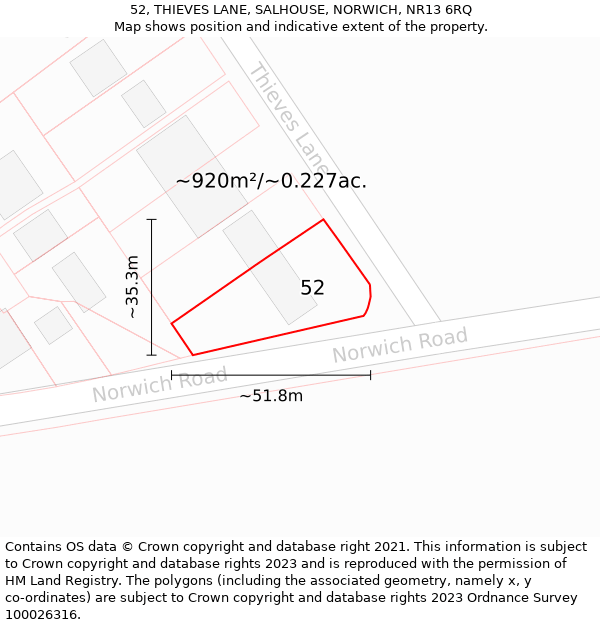 52, THIEVES LANE, SALHOUSE, NORWICH, NR13 6RQ: Plot and title map