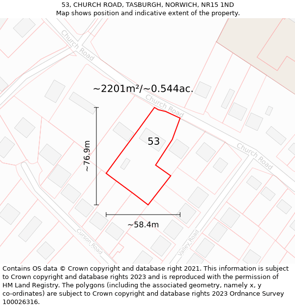 53, CHURCH ROAD, TASBURGH, NORWICH, NR15 1ND: Plot and title map