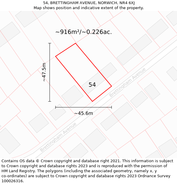 54, BRETTINGHAM AVENUE, NORWICH, NR4 6XJ: Plot and title map