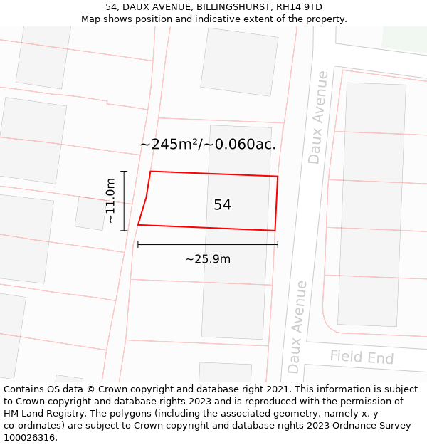 54, DAUX AVENUE, BILLINGSHURST, RH14 9TD: Plot and title map