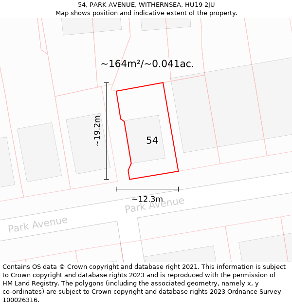 54, PARK AVENUE, WITHERNSEA, HU19 2JU: Plot and title map