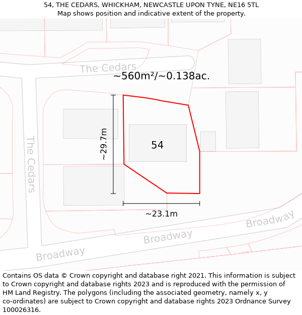 54, THE CEDARS, WHICKHAM, NEWCASTLE UPON TYNE, NE16 5TL: Plot and title map