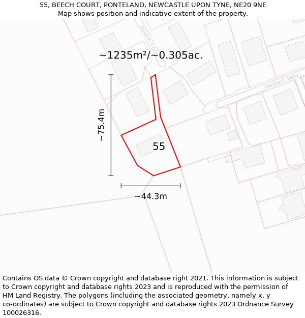 55, BEECH COURT, PONTELAND, NEWCASTLE UPON TYNE, NE20 9NE: Plot and title map