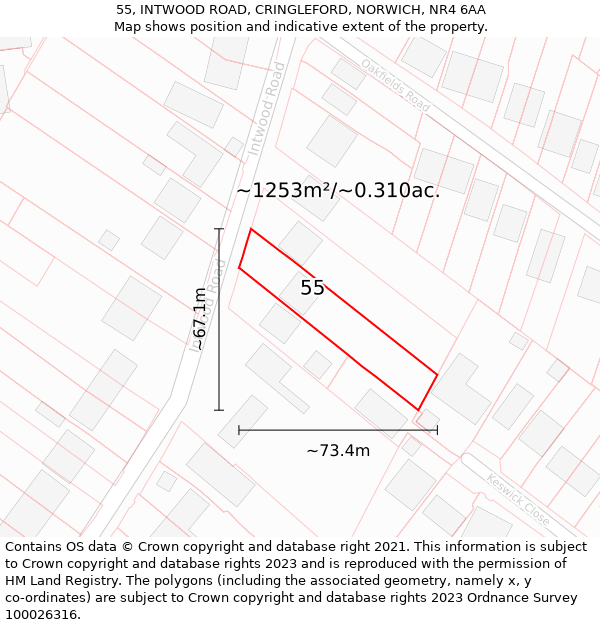 55, INTWOOD ROAD, CRINGLEFORD, NORWICH, NR4 6AA: Plot and title map
