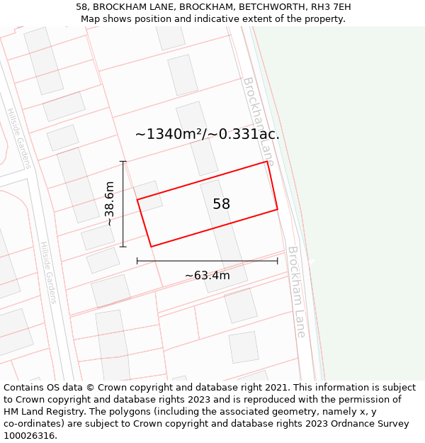 58, BROCKHAM LANE, BROCKHAM, BETCHWORTH, RH3 7EH: Plot and title map