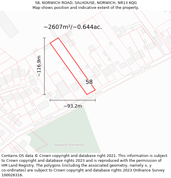 58, NORWICH ROAD, SALHOUSE, NORWICH, NR13 6QG: Plot and title map