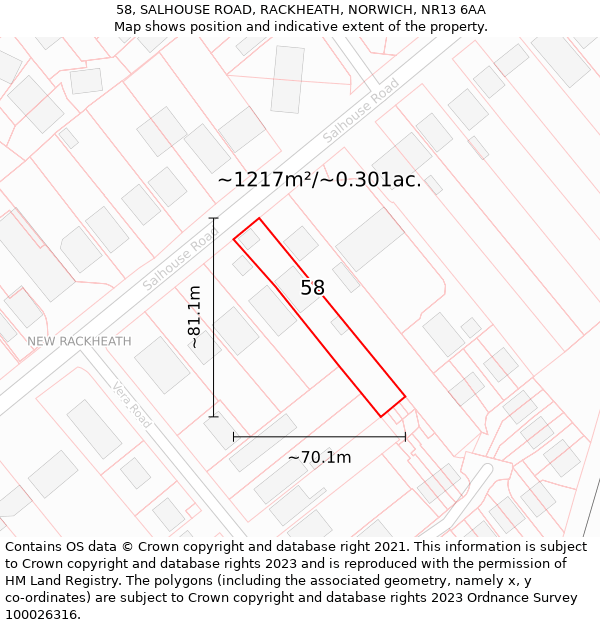 58, SALHOUSE ROAD, RACKHEATH, NORWICH, NR13 6AA: Plot and title map