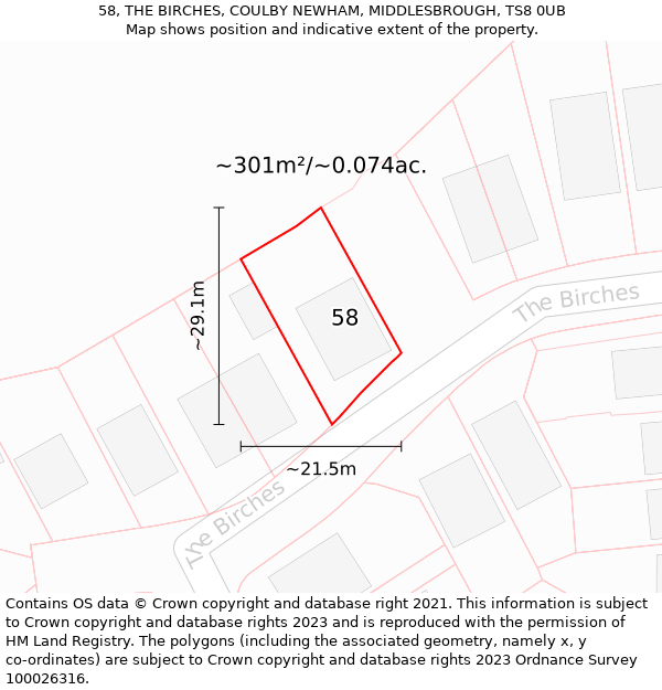 58, THE BIRCHES, COULBY NEWHAM, MIDDLESBROUGH, TS8 0UB: Plot and title map