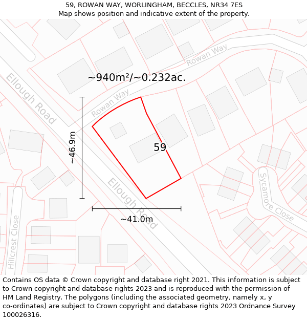 59, ROWAN WAY, WORLINGHAM, BECCLES, NR34 7ES: Plot and title map