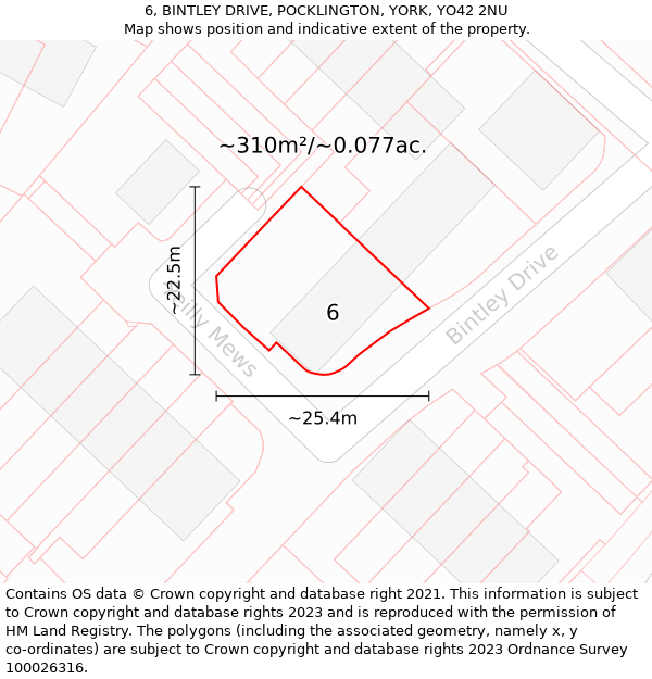 6, BINTLEY DRIVE, POCKLINGTON, YORK, YO42 2NU: Plot and title map