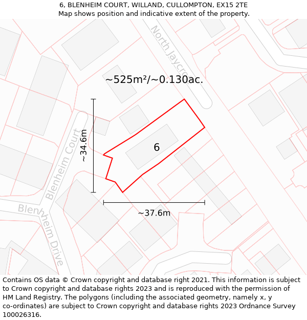 6, BLENHEIM COURT, WILLAND, CULLOMPTON, EX15 2TE: Plot and title map