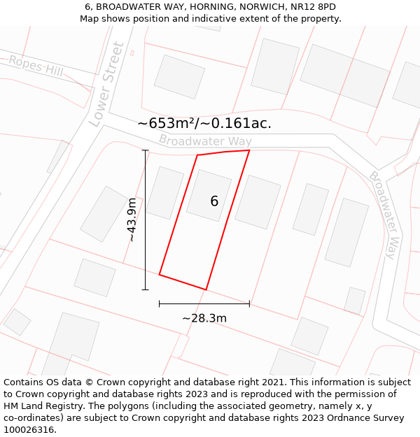 6, BROADWATER WAY, HORNING, NORWICH, NR12 8PD: Plot and title map