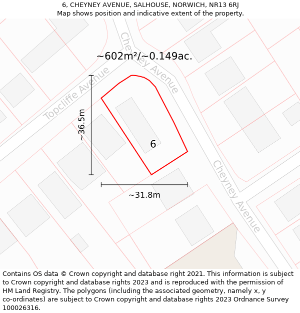 6, CHEYNEY AVENUE, SALHOUSE, NORWICH, NR13 6RJ: Plot and title map