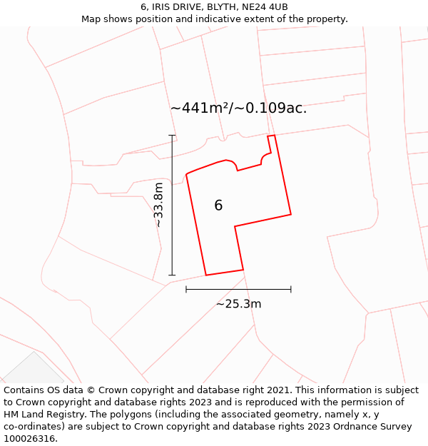 6, IRIS DRIVE, BLYTH, NE24 4UB: Plot and title map