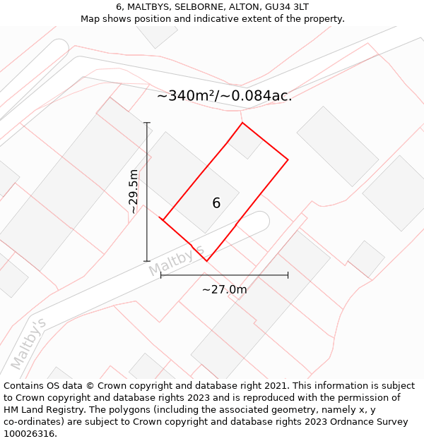 6, MALTBYS, SELBORNE, ALTON, GU34 3LT: Plot and title map