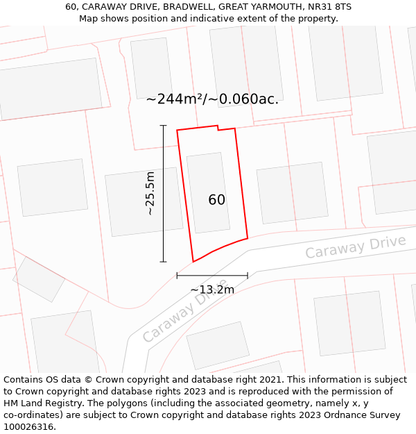 60, CARAWAY DRIVE, BRADWELL, GREAT YARMOUTH, NR31 8TS: Plot and title map