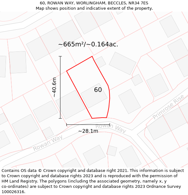 60, ROWAN WAY, WORLINGHAM, BECCLES, NR34 7ES: Plot and title map