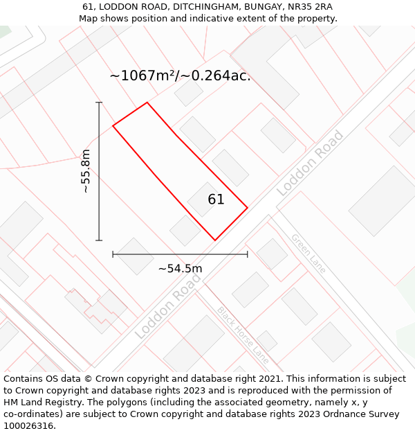 61, LODDON ROAD, DITCHINGHAM, BUNGAY, NR35 2RA: Plot and title map