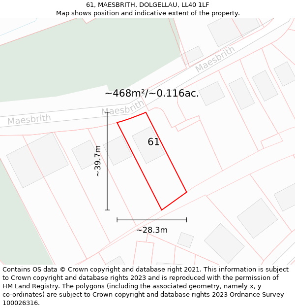 61, MAESBRITH, DOLGELLAU, LL40 1LF: Plot and title map