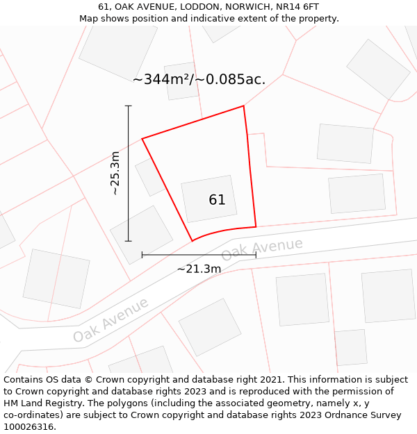 61, OAK AVENUE, LODDON, NORWICH, NR14 6FT: Plot and title map