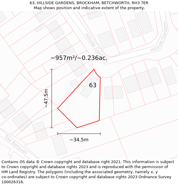 63, HILLSIDE GARDENS, BROCKHAM, BETCHWORTH, RH3 7ER: Plot and title map