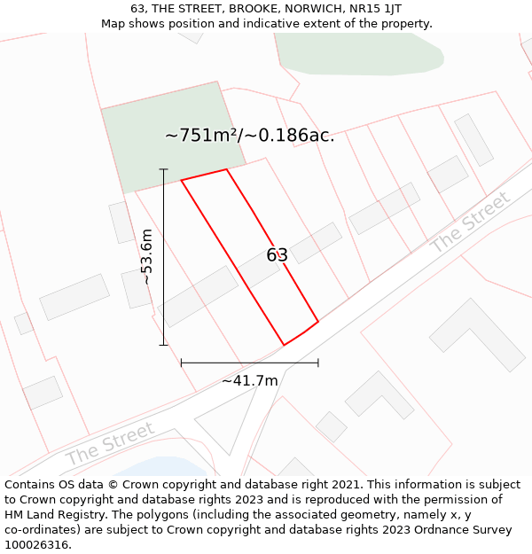 63, THE STREET, BROOKE, NORWICH, NR15 1JT: Plot and title map