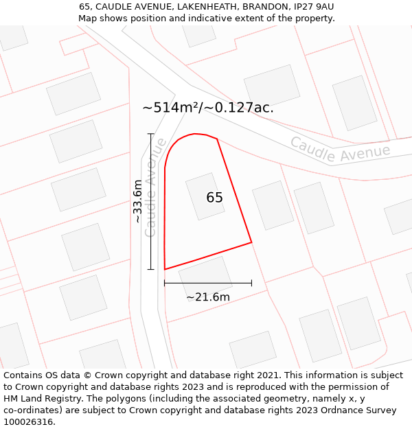 65, CAUDLE AVENUE, LAKENHEATH, BRANDON, IP27 9AU: Plot and title map