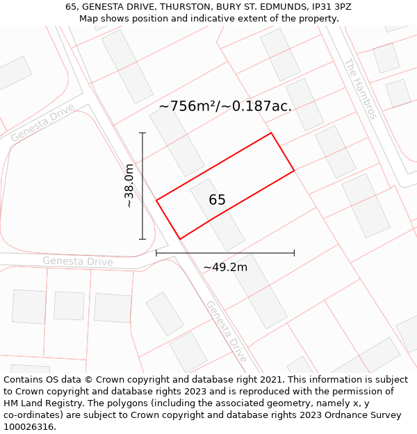 65, GENESTA DRIVE, THURSTON, BURY ST. EDMUNDS, IP31 3PZ: Plot and title map