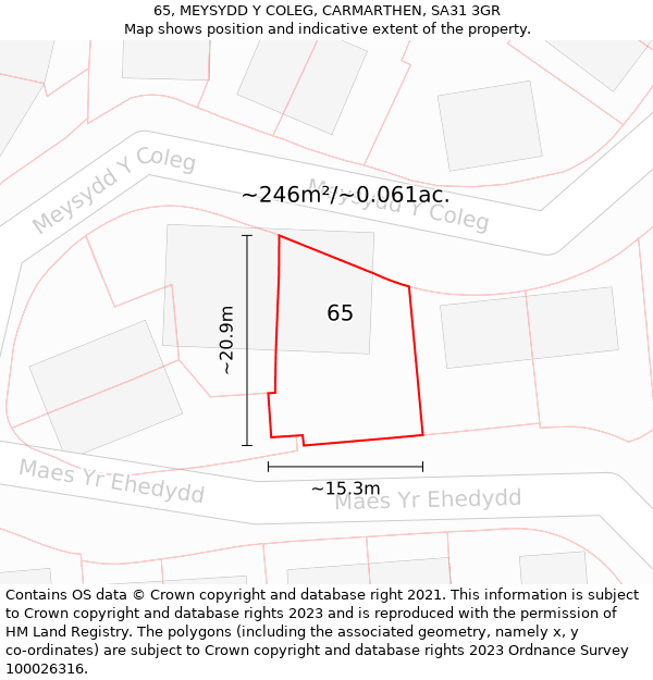 65, MEYSYDD Y COLEG, CARMARTHEN, SA31 3GR: Plot and title map