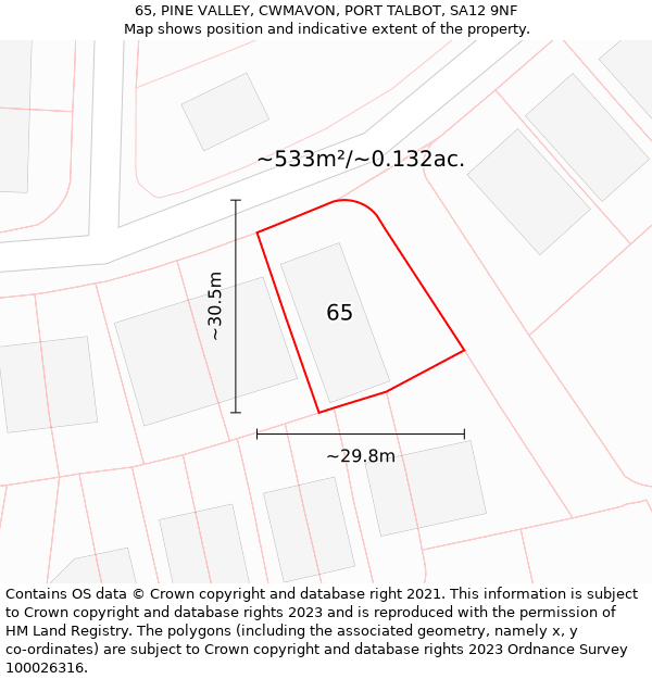 65, PINE VALLEY, CWMAVON, PORT TALBOT, SA12 9NF: Plot and title map