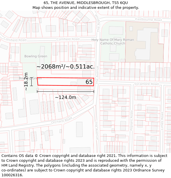 65, THE AVENUE, MIDDLESBROUGH, TS5 6QU: Plot and title map