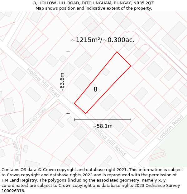 8, HOLLOW HILL ROAD, DITCHINGHAM, BUNGAY, NR35 2QZ: Plot and title map