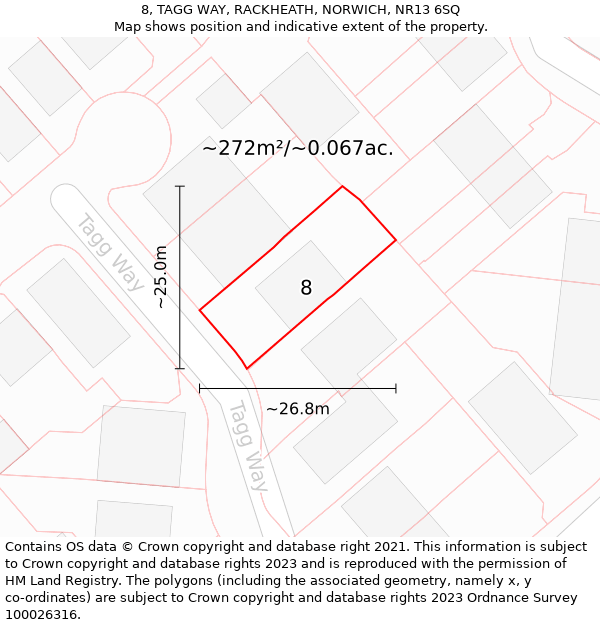 8, TAGG WAY, RACKHEATH, NORWICH, NR13 6SQ: Plot and title map