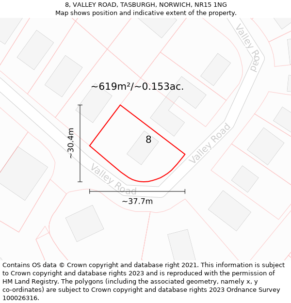 8, VALLEY ROAD, TASBURGH, NORWICH, NR15 1NG: Plot and title map