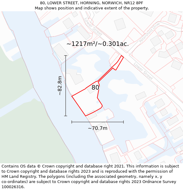 80, LOWER STREET, HORNING, NORWICH, NR12 8PF: Plot and title map