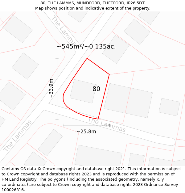 80, THE LAMMAS, MUNDFORD, THETFORD, IP26 5DT: Plot and title map