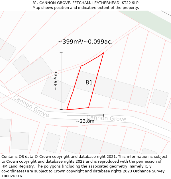 81, CANNON GROVE, FETCHAM, LEATHERHEAD, KT22 9LP: Plot and title map