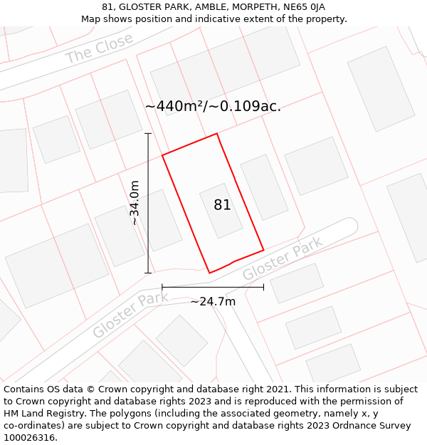 81, GLOSTER PARK, AMBLE, MORPETH, NE65 0JA: Plot and title map