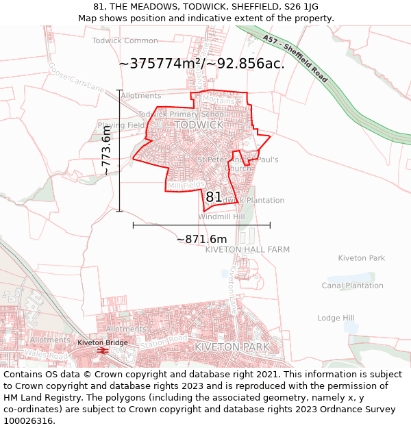 81, THE MEADOWS, TODWICK, SHEFFIELD, S26 1JG: Plot and title map