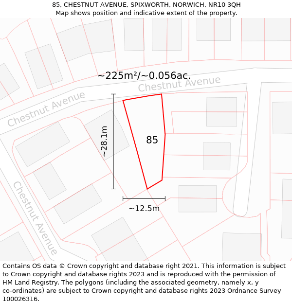 85, CHESTNUT AVENUE, SPIXWORTH, NORWICH, NR10 3QH: Plot and title map