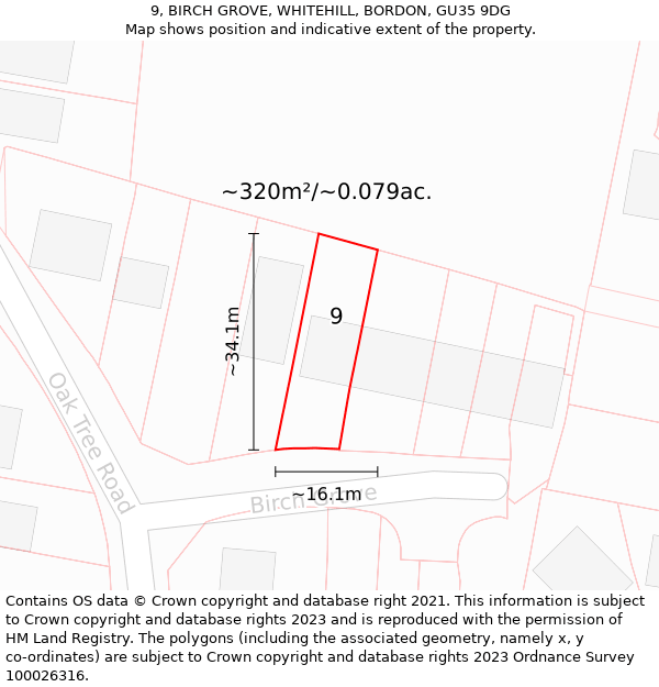 9, BIRCH GROVE, WHITEHILL, BORDON, GU35 9DG: Plot and title map