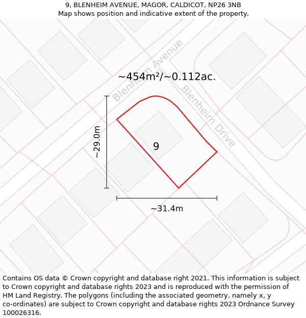 9, BLENHEIM AVENUE, MAGOR, CALDICOT, NP26 3NB: Plot and title map