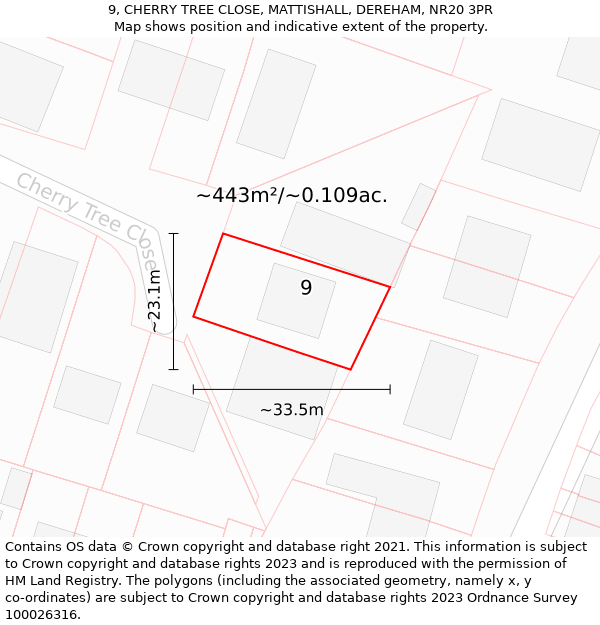 9, CHERRY TREE CLOSE, MATTISHALL, DEREHAM, NR20 3PR: Plot and title map