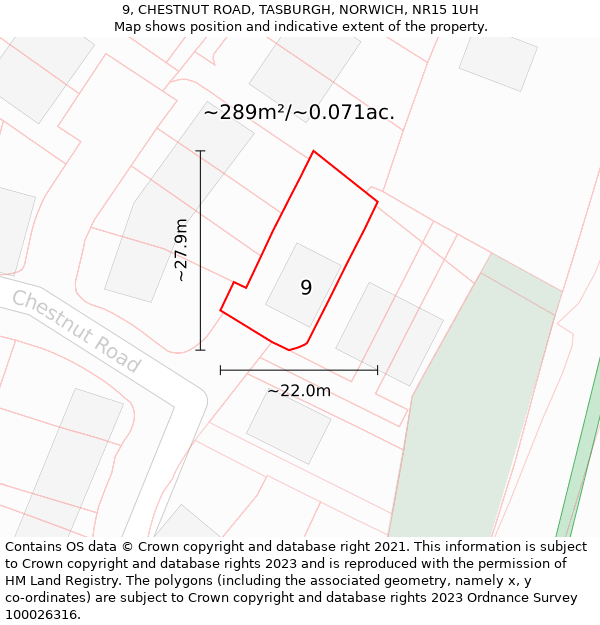 9, CHESTNUT ROAD, TASBURGH, NORWICH, NR15 1UH: Plot and title map