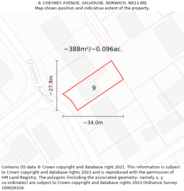 9, CHEYNEY AVENUE, SALHOUSE, NORWICH, NR13 6RJ: Plot and title map