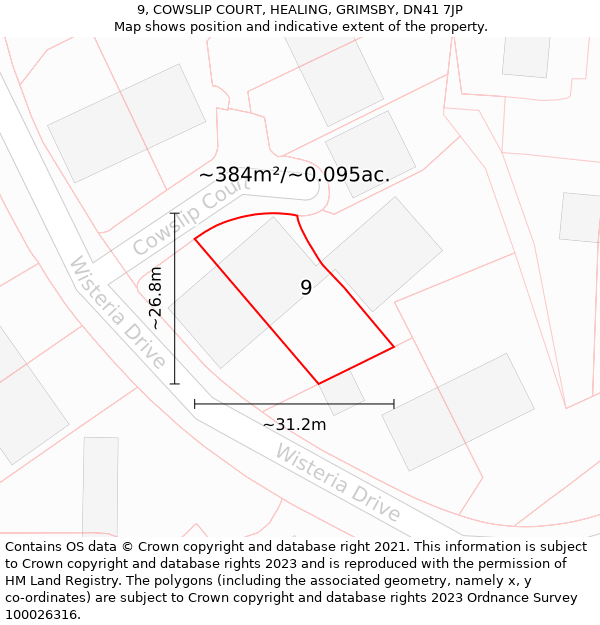 9, COWSLIP COURT, HEALING, GRIMSBY, DN41 7JP: Plot and title map