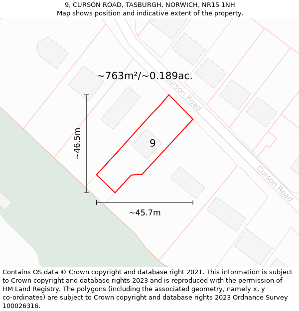 9, CURSON ROAD, TASBURGH, NORWICH, NR15 1NH: Plot and title map