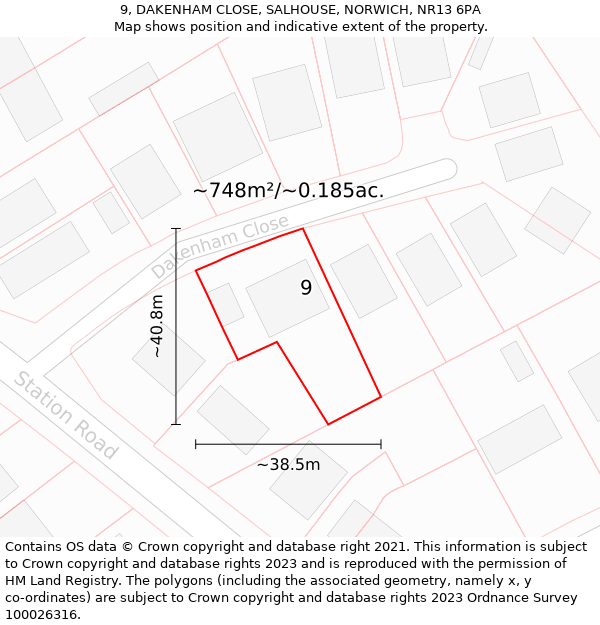 9, DAKENHAM CLOSE, SALHOUSE, NORWICH, NR13 6PA: Plot and title map