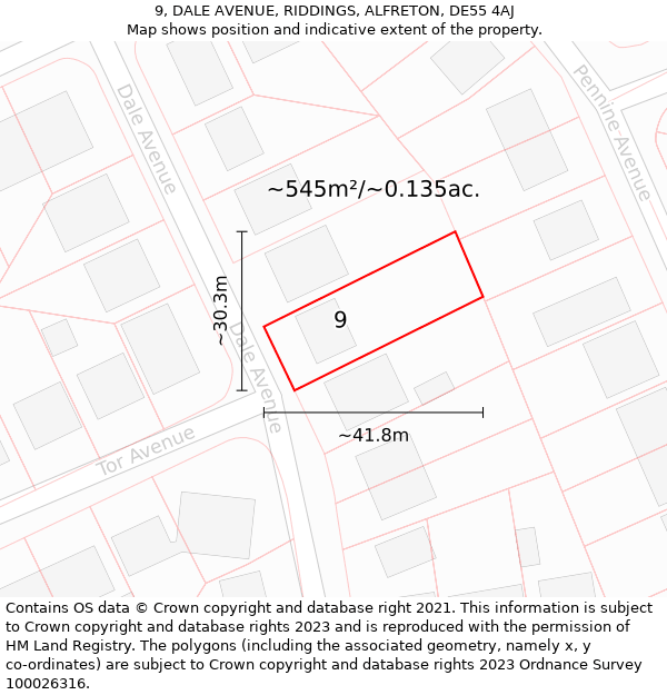 9, DALE AVENUE, RIDDINGS, ALFRETON, DE55 4AJ: Plot and title map