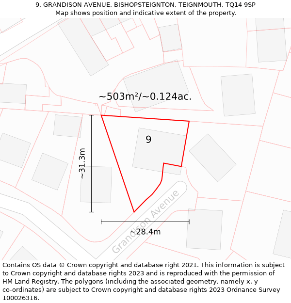 9, GRANDISON AVENUE, BISHOPSTEIGNTON, TEIGNMOUTH, TQ14 9SP: Plot and title map